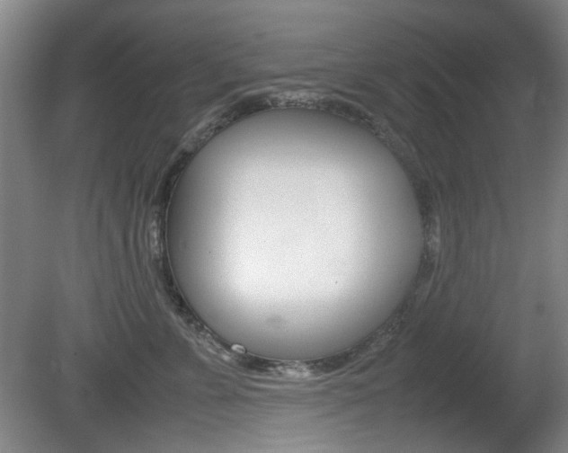 X0000080660715200612150735