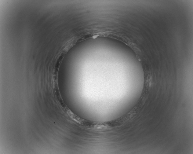 X0000080660716200612150735