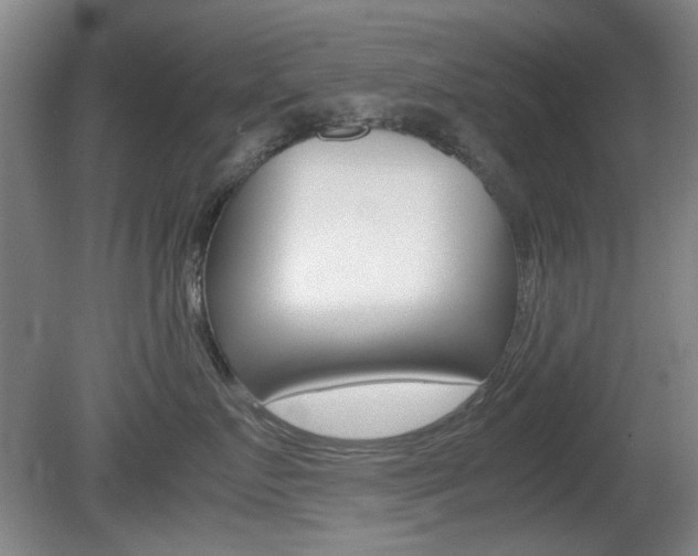 X0000080660719200612150735