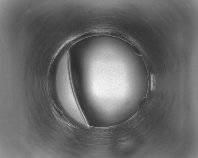 X0000080660723200612150734
