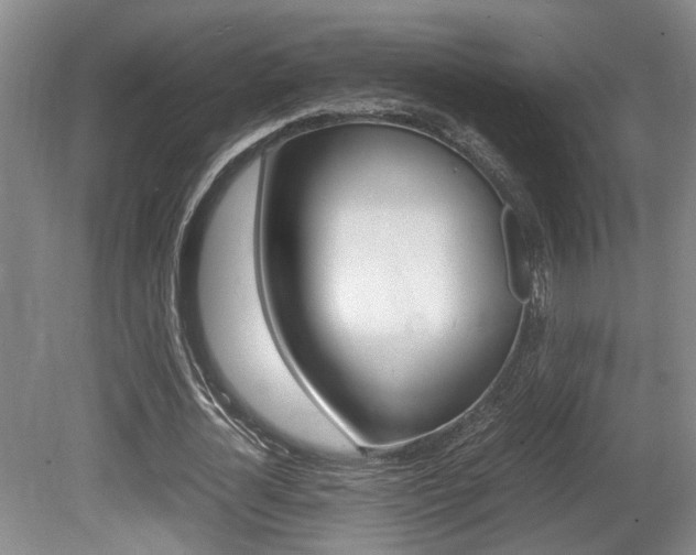 X0000080660724200612150734