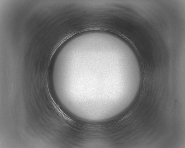 X0000080660725200612150734