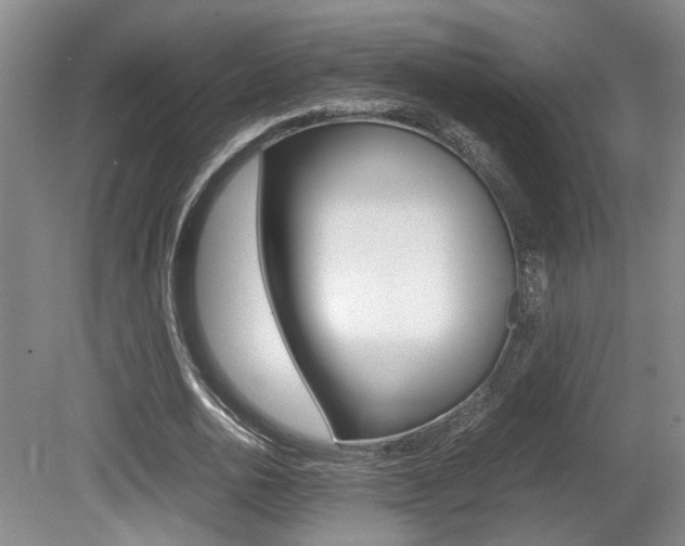 X0000080660726200612150734