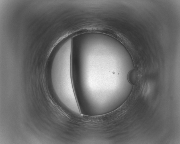 X0000080660727200612150734
