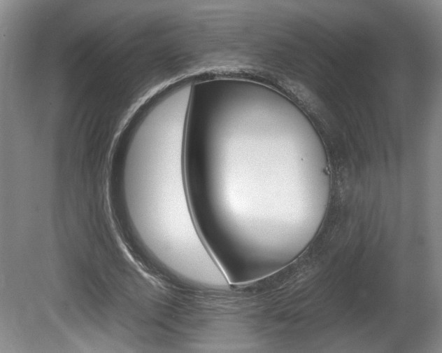 X0000080660728200612150734
