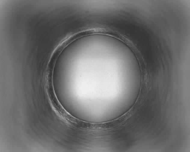 X0000080660730200612150734