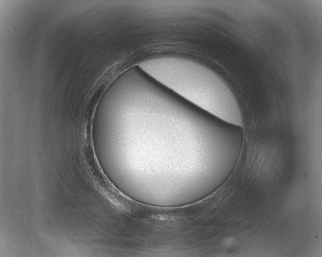 X0000080660733200612150734