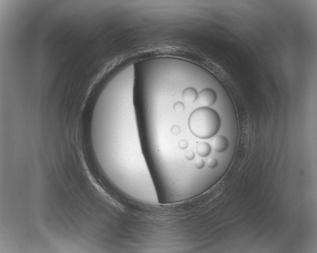 X0000080660734200612150734
