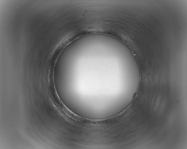 X0000080660735200612150734