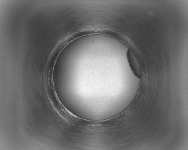 X0000080660736200612150734