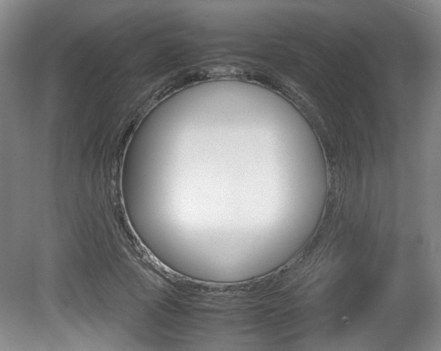 X0000080660737200612150734