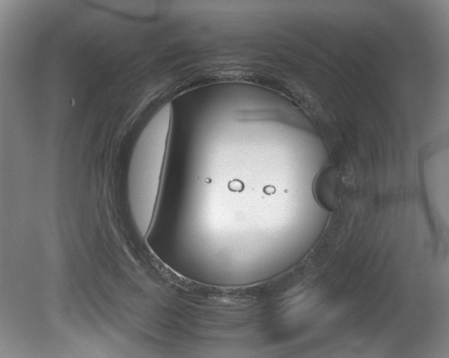 X0000080660739200612150734