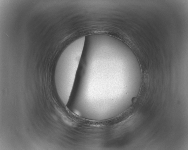 X0000080660741200612150735
