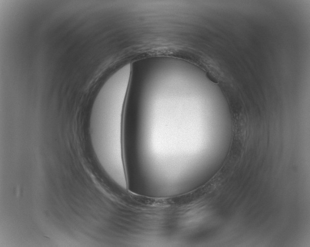 X0000080660742200612150735