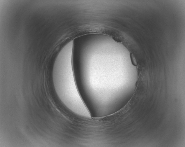 X0000080660744200612150735