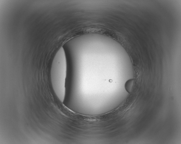 X0000080660745200612150735