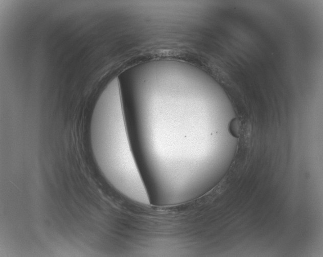 X0000080660746200612150735