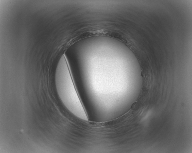 X0000080660747200612150735