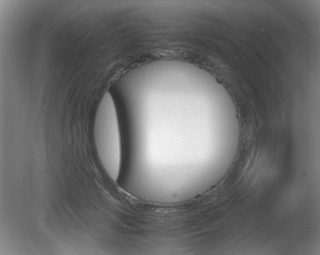 X0000080660749200612150735