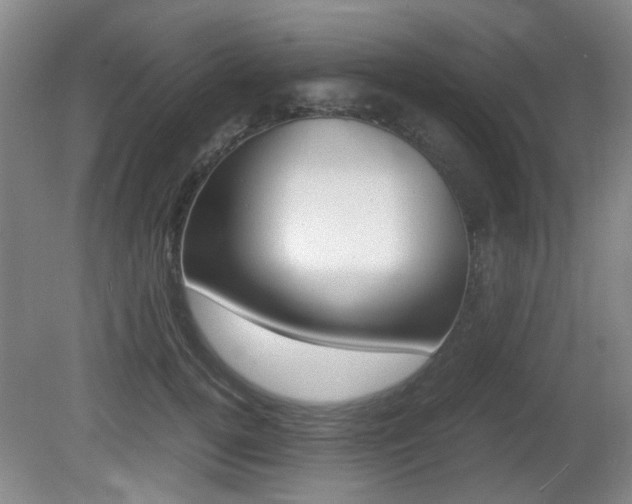 X0000080660752200612150735