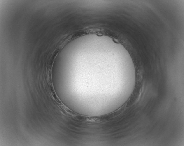 X0000080660753200612150735