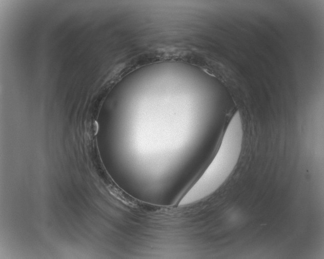 X0000080660756200612150735
