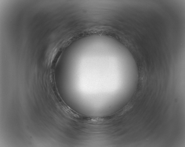 X0000080660758200612150735