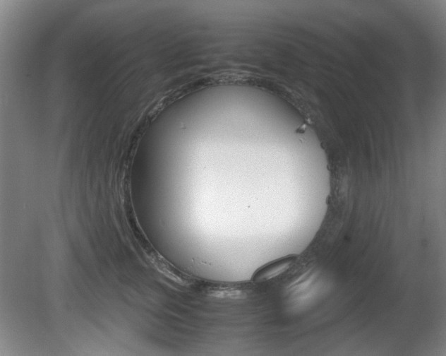 X0000080660759200612150735