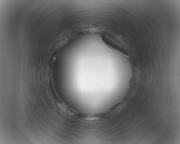 X0000080660760200612150735