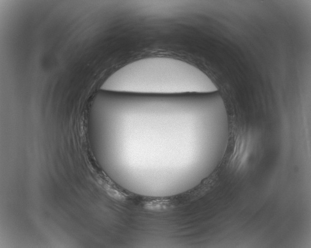 X0000080660761200612150735