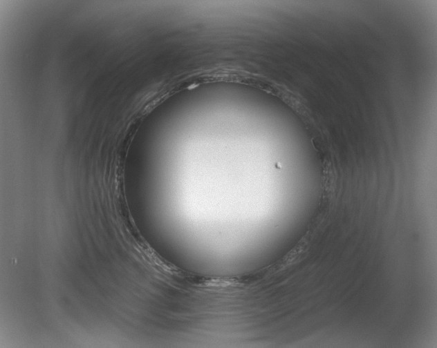 X0000080660762200612150735