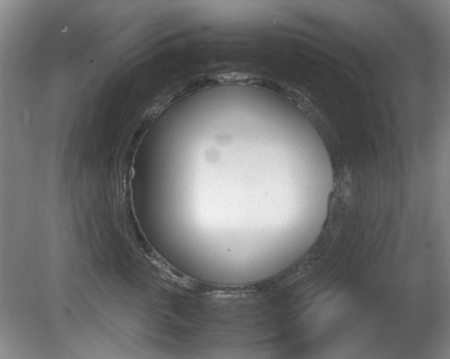 X0000080660763200612150735