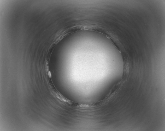 X0000080660766200612150735
