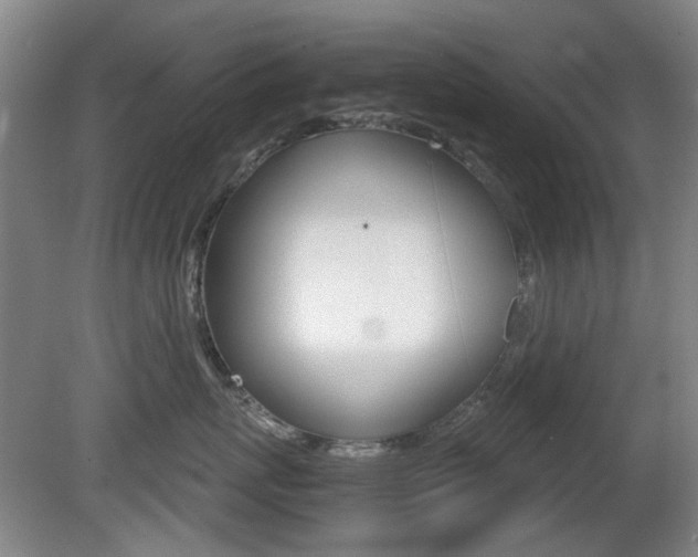 X0000080660767200612150735