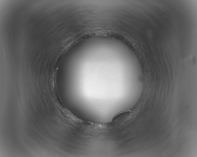 X0000080660768200612150735