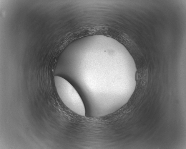 X0000080660770200612150734