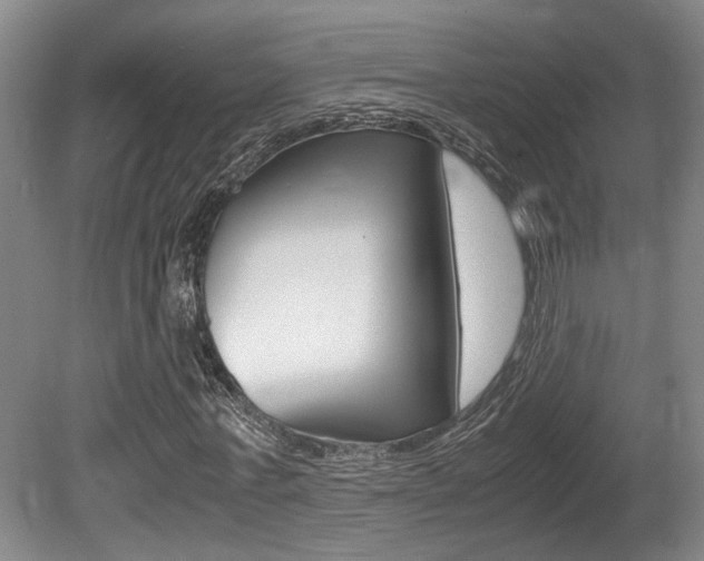 X0000080660771200612150734
