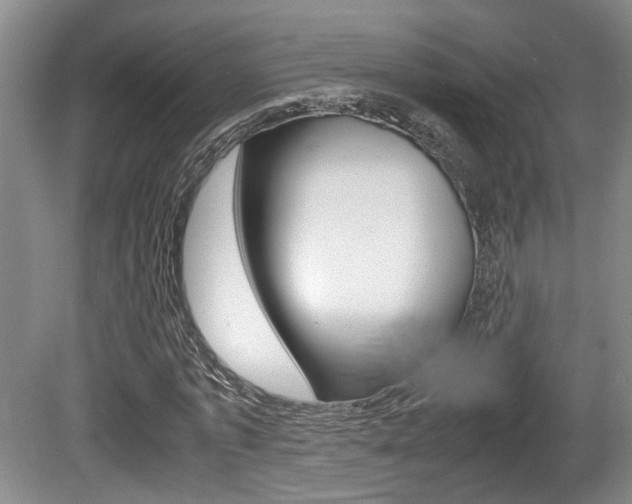 X0000080660773200612150734
