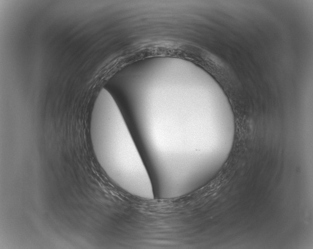 X0000080660774200612150734