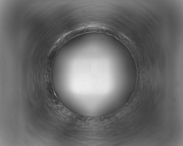 X0000080660776200612150734