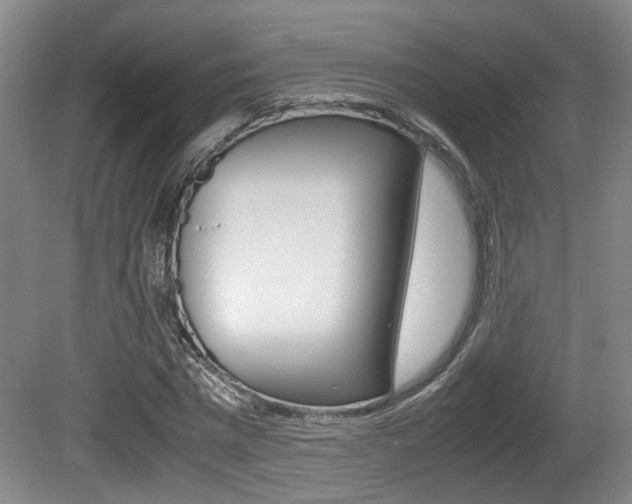 X0000080660777200612150734