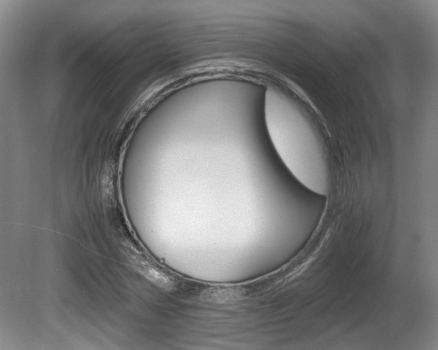 X0000080660778200612150734