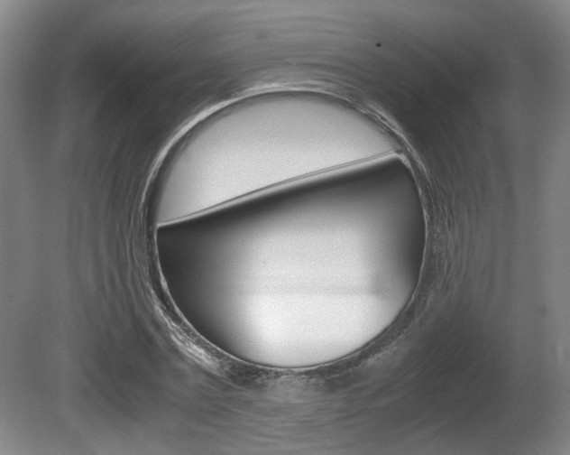 X0000080660779200612150734