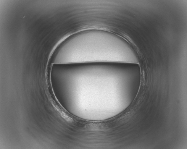 X0000080660780200612150734
