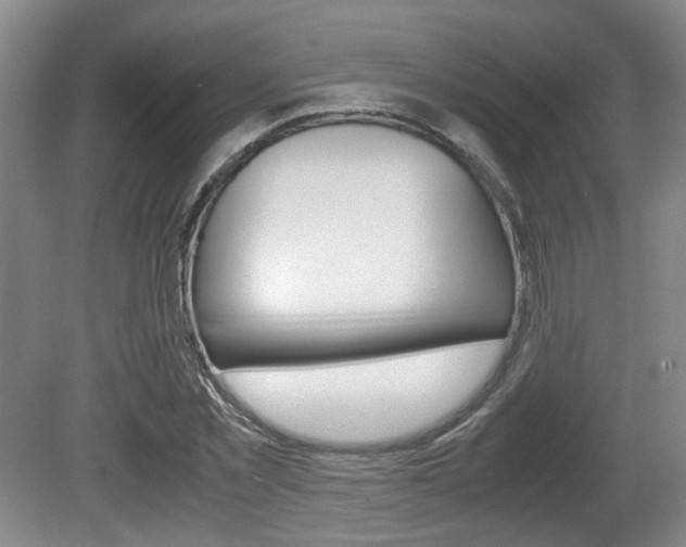 X0000080660781200612150734