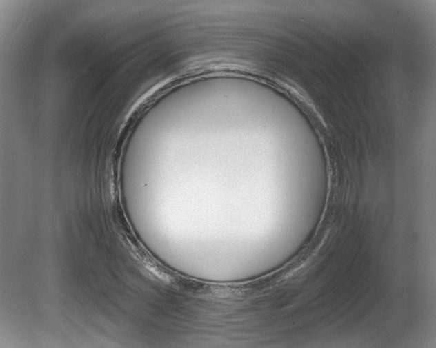 X0000080660782200612150734
