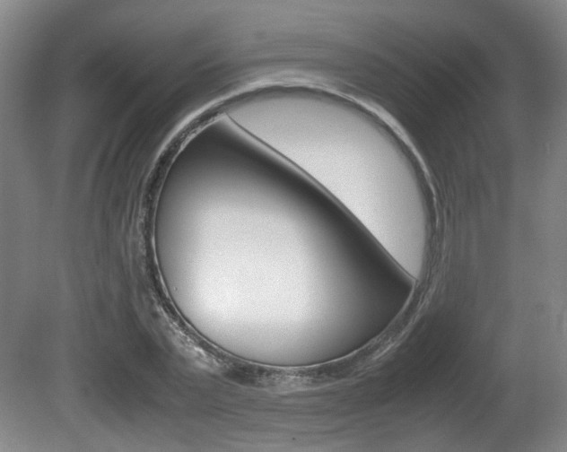 X0000080660783200612150734