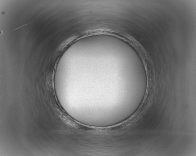 X0000080660785200612150734