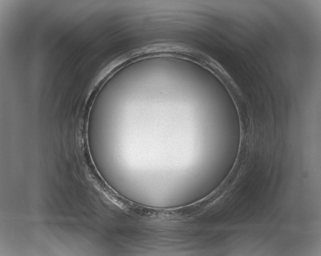 X0000080660786200612150734