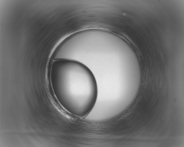X0000080660788200612150734